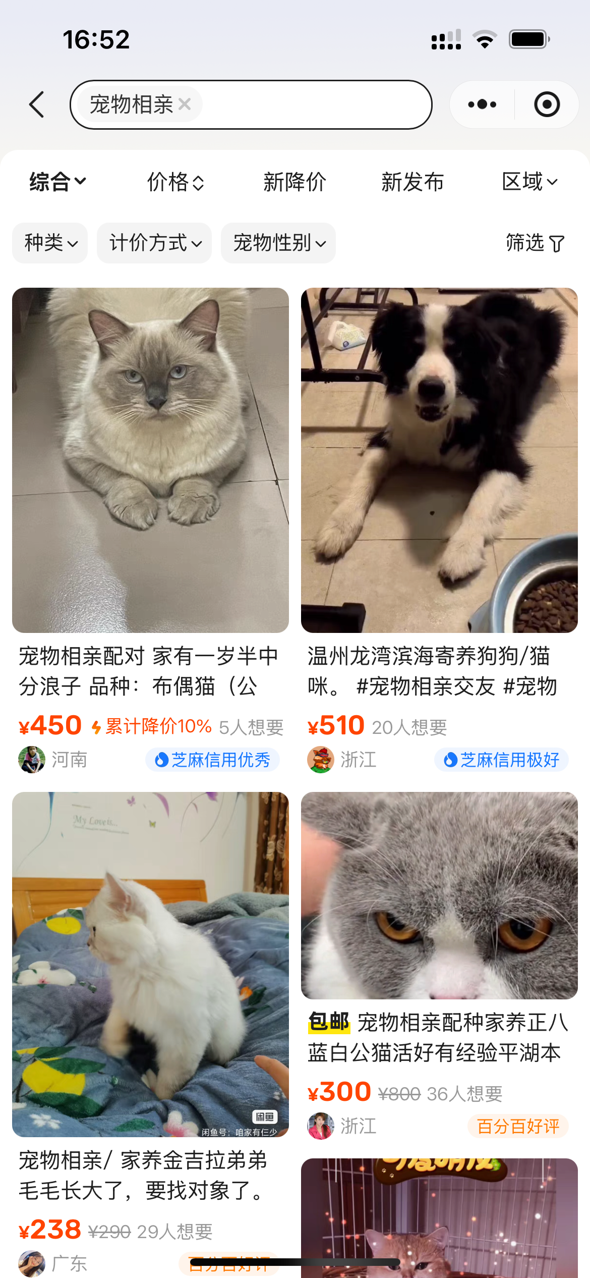 matchmaking pets china
